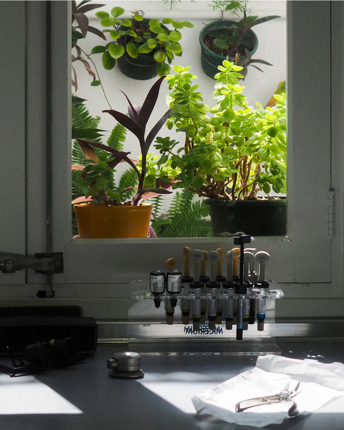 Image of dentist devices with plants in the background.