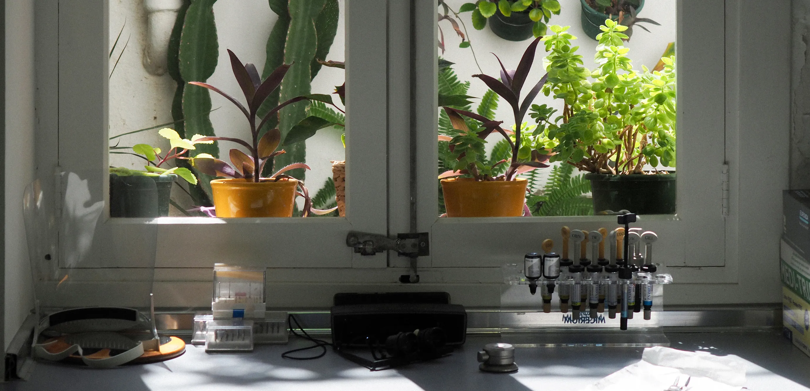 Image of dentist devices with plants in the background.