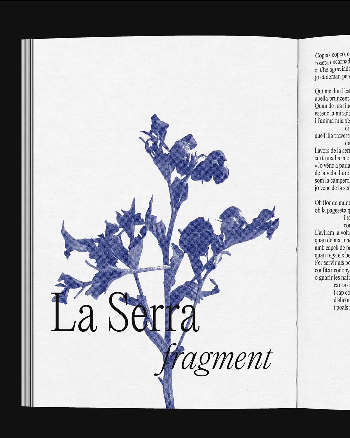 Extract from the Joan Alcover book project. The page shows a blue flower with the text 'La Serra fragment'.
