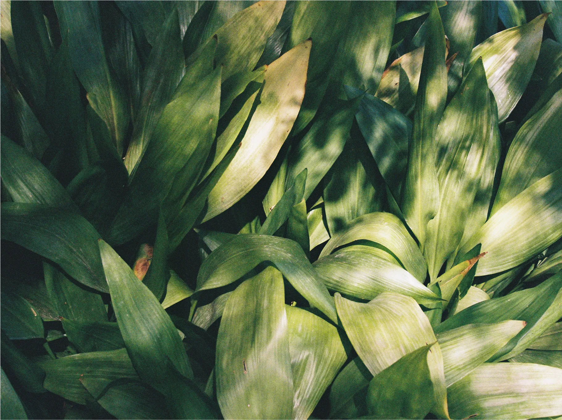 test