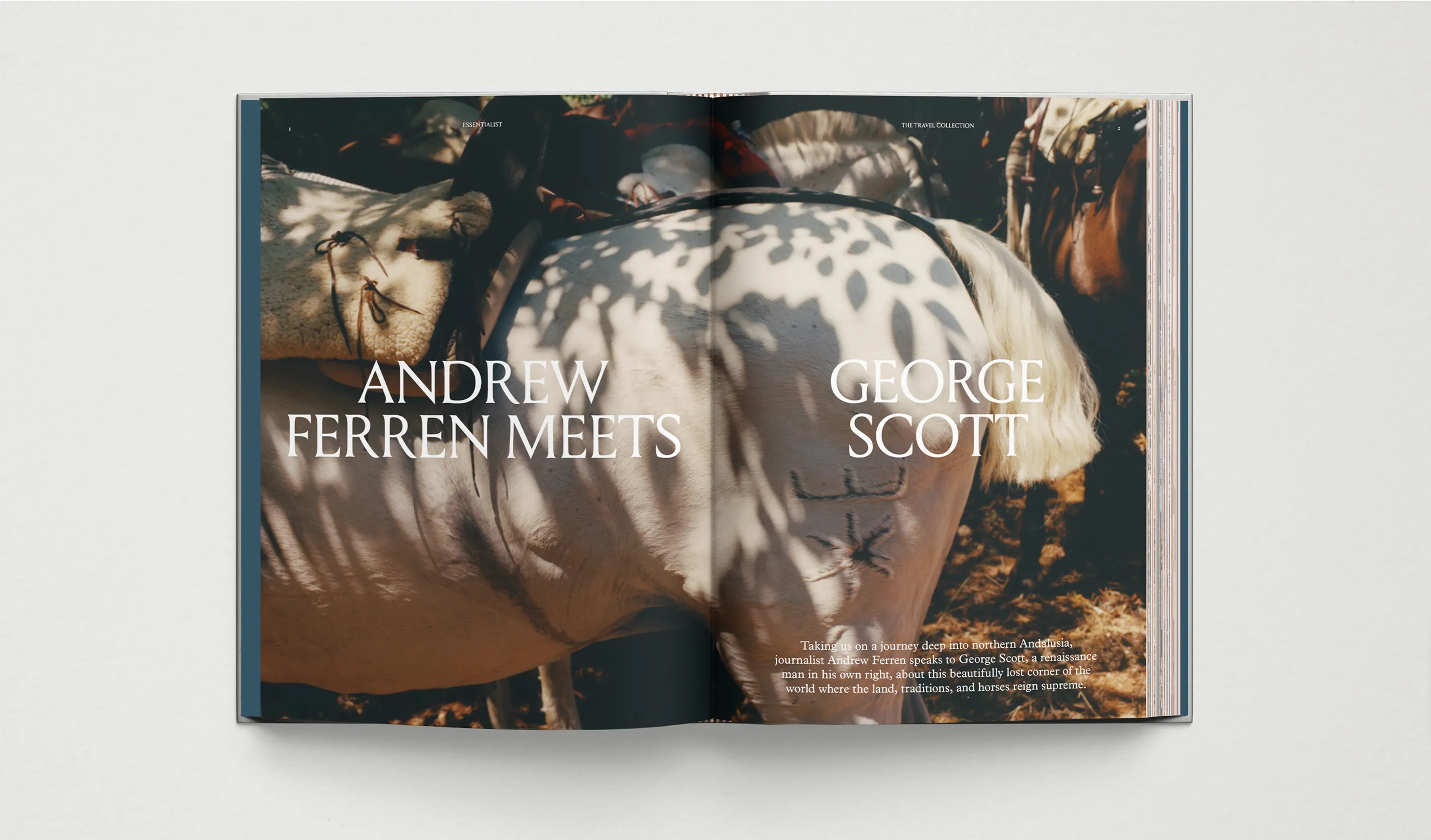 Extract of "The Travel Guide" where the names two locals appear, Andrew Ferren and George Scott. The text is displayed over an image of the back part of a white horse with some brands on its leg.